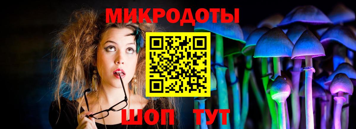 Галлюциногенные грибы Psilocybine cubensis  Вход с VPN  Псилоцибиновые грибы Psilocybine cubensis  Боровичи 